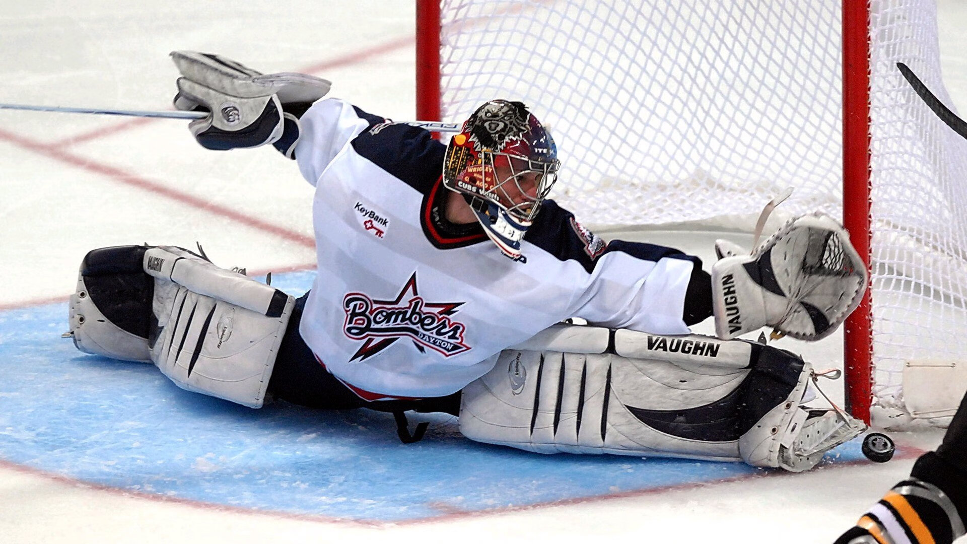 辽宁飞豹擅长控制节奏成为比赛节拍掌控者，辽宁飞豹阵容